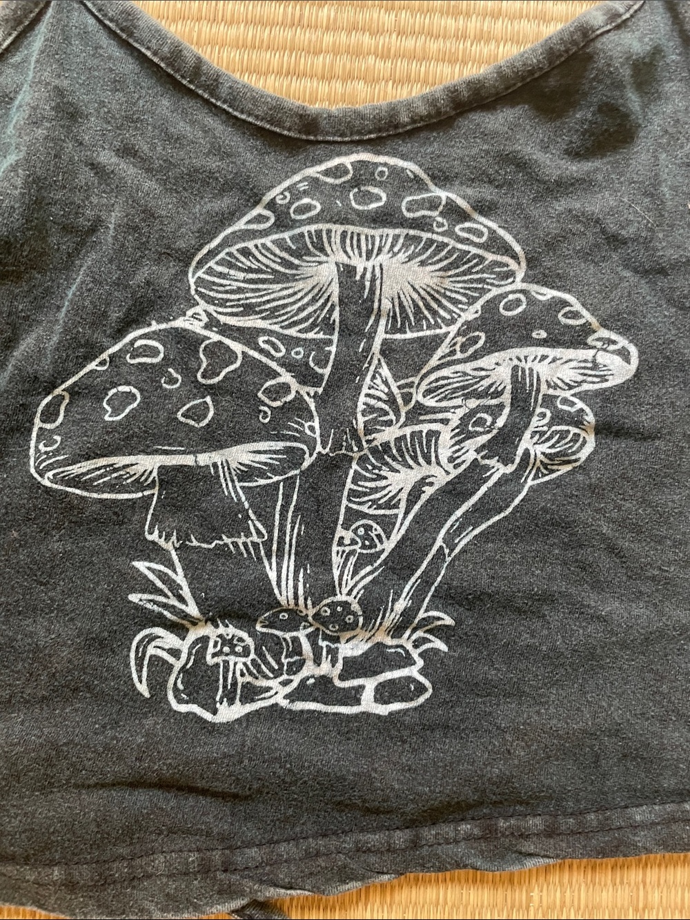 Mushroom Halter - Picture 2 of 2